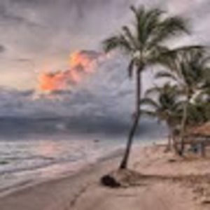 Meet your Posher, Arianna